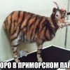Скоро...