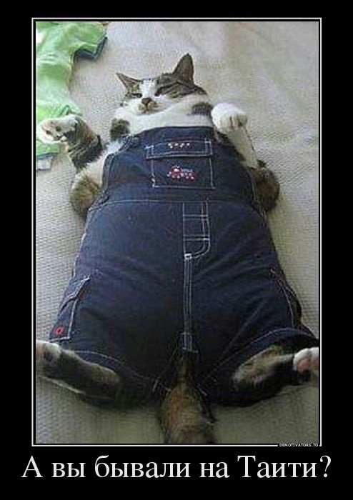 Котэ