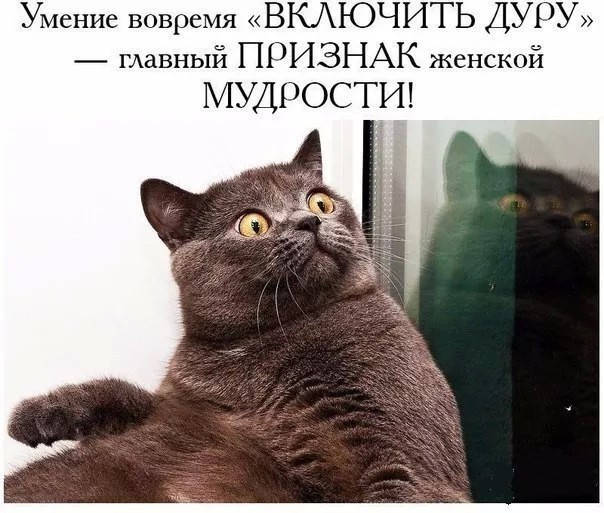 Включить дуру