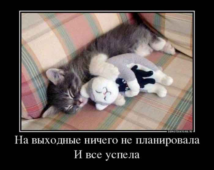 Выходные