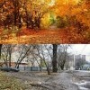 Осень Осень