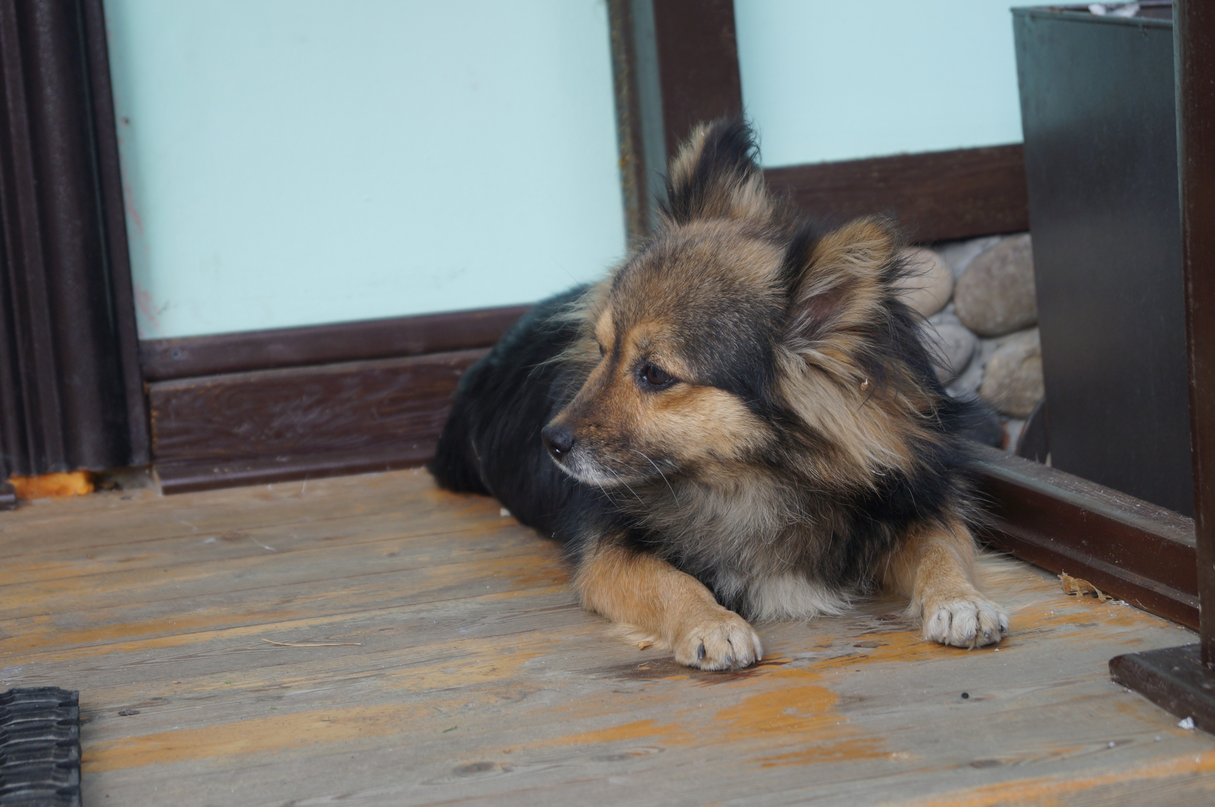 Привет, двуногие ублюдки!