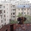 Чебурашка Чебурашка