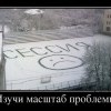 Масштаб проблемы
