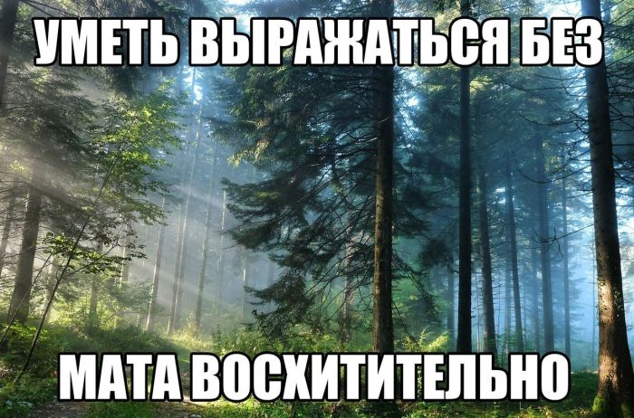Без мата