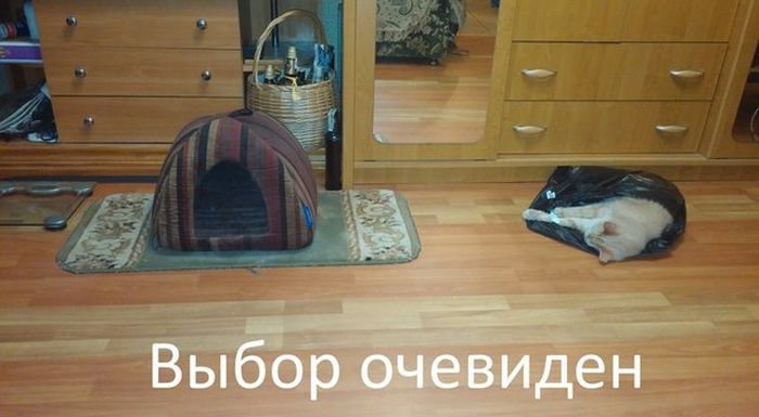 Выбор очевиден