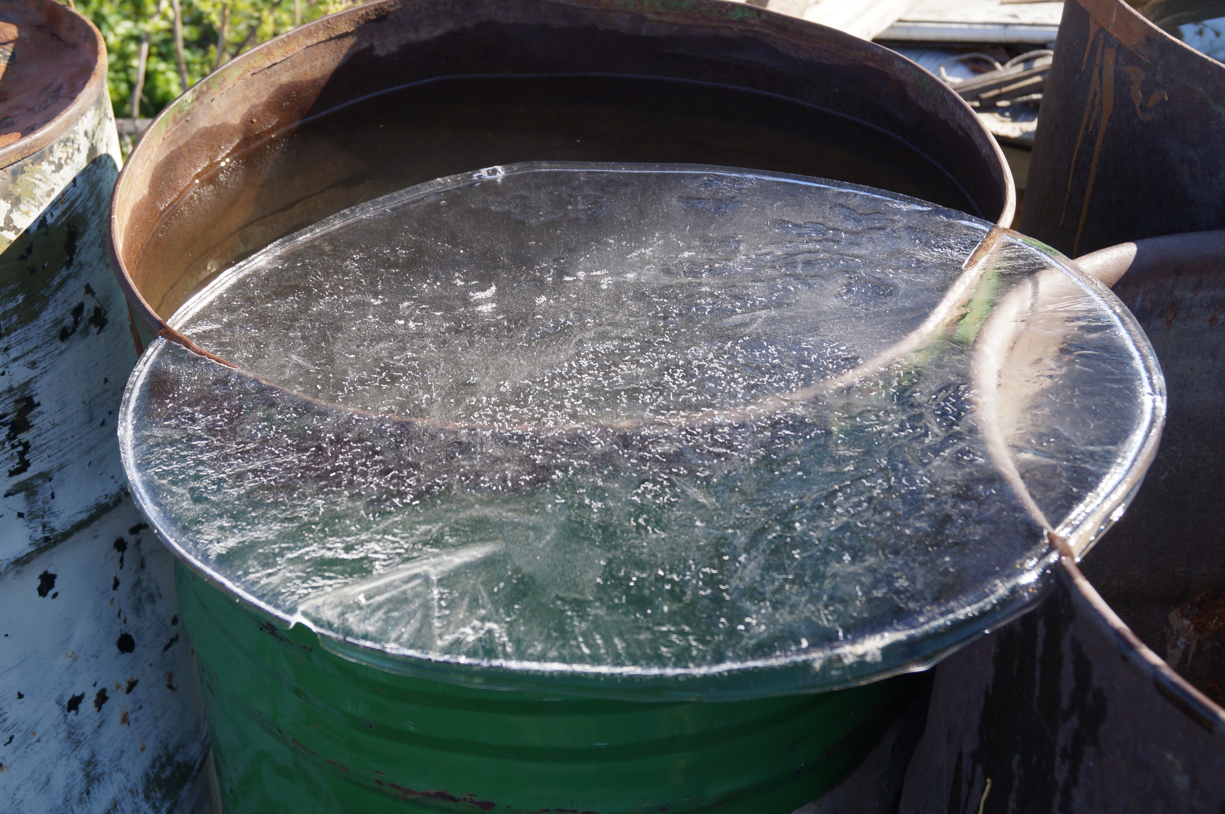 утренний ледок в СНТ "Расцвет"