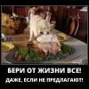 Бери от жизни всё Бери от жизни всё