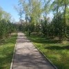 Чистый парк Чистый парк