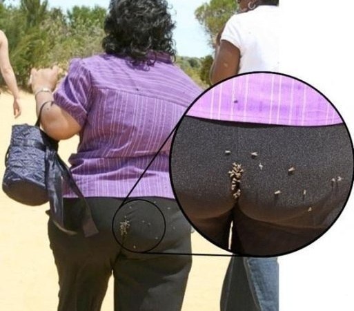 еперный театр))