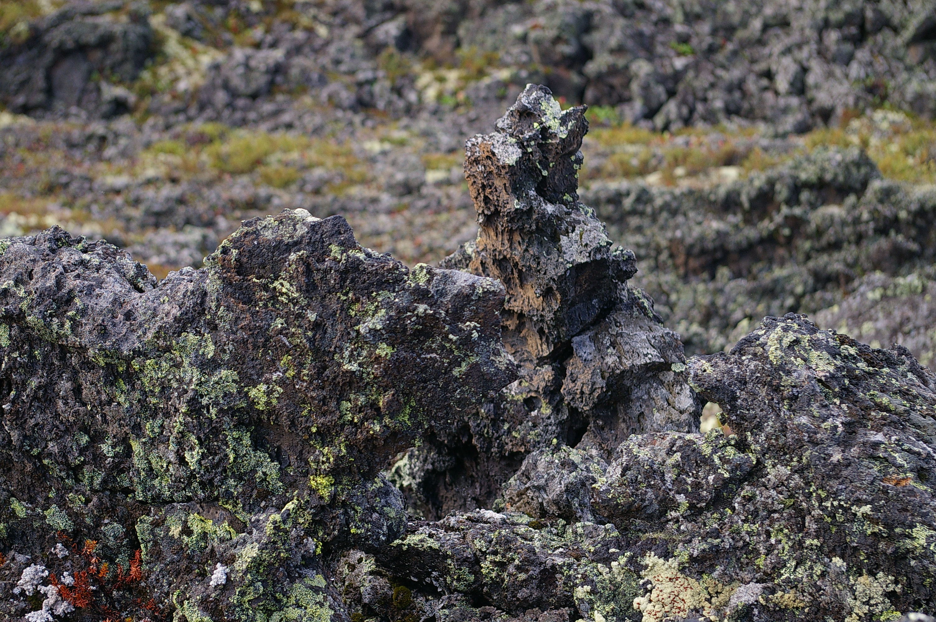 лавовые камни очень острые