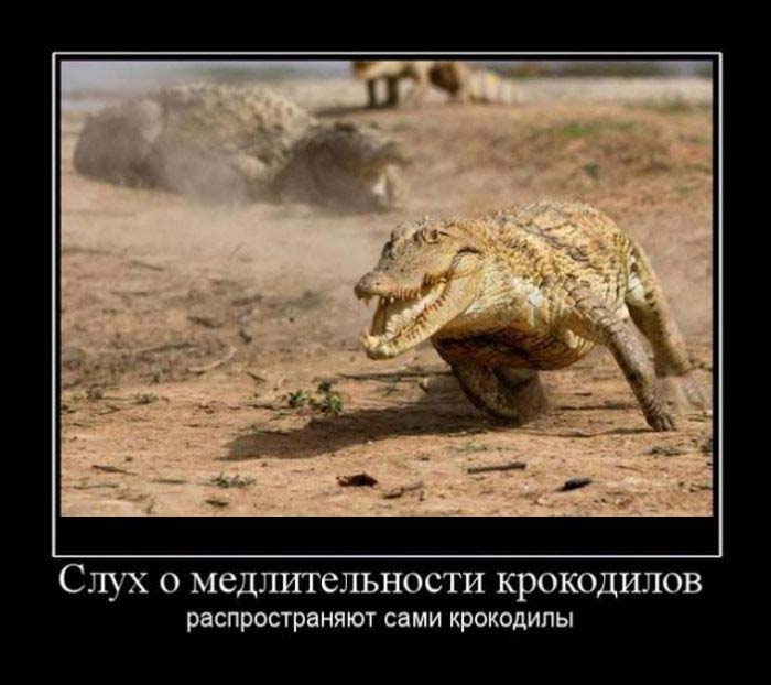 Слух...