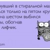 О котах О котах
