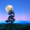 Луна зацепившаяся))))) Луна зацепившаяся)))))