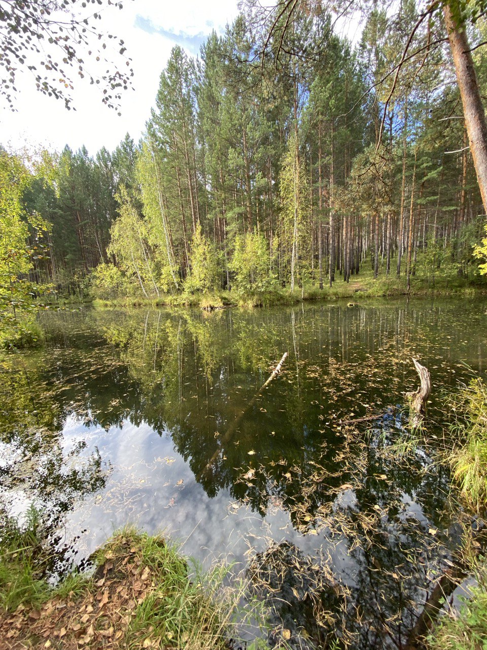 Осень 