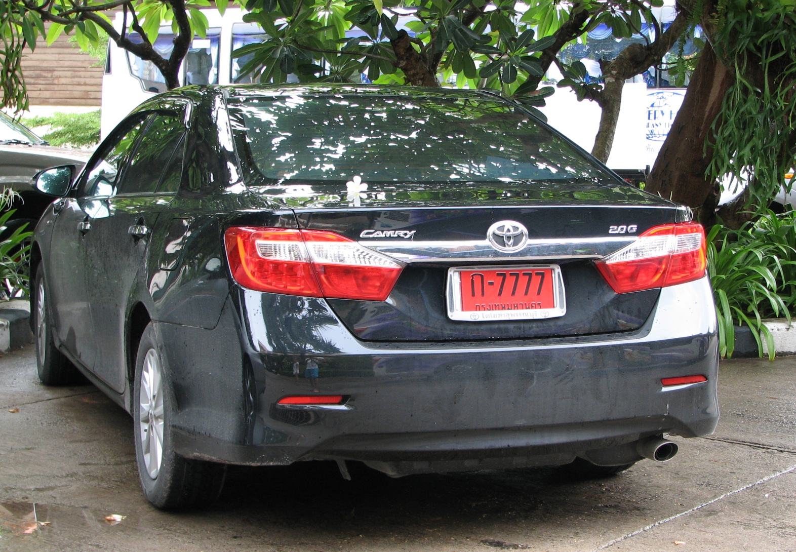 Красивые номера везде в почете