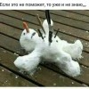 ну есле и ето не паможыт?)))))))
