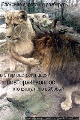 Так кто в доме хозяин?!