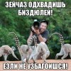 езли не узбагоишься)))