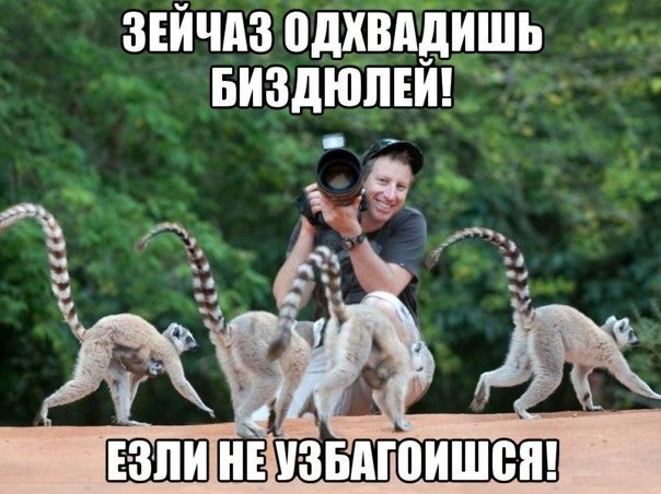 езли не узбагоишься)))