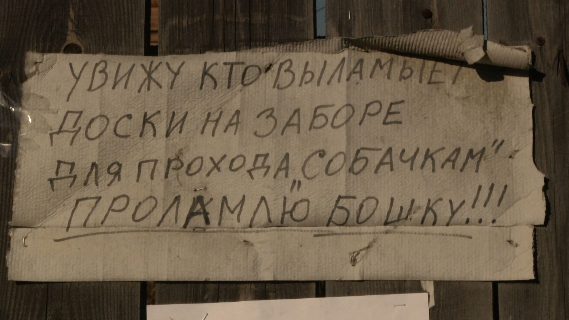Объявление не от правления