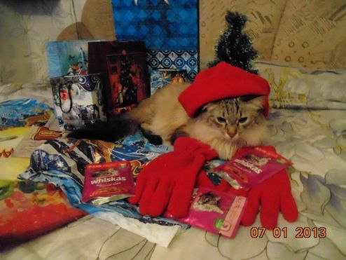 Фото №4 Хозяева сказали охранять  подарки!