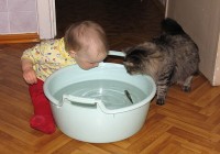 все,кто смотрит футбол,выход есть! все,кто смотрит футбол,выход есть!