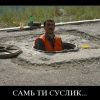 суслик