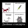 Двойные стандарты Двойные стандарты