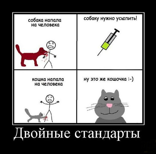 Двойные стандарты