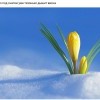 Предчувствие весны