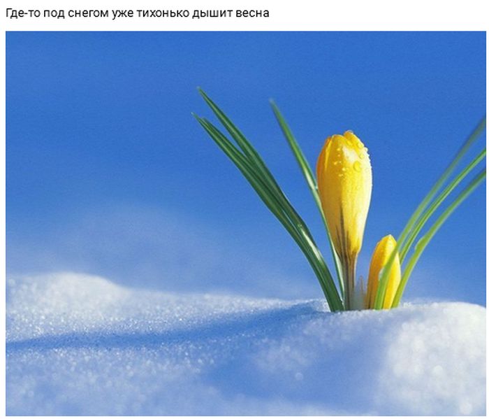 Предчувствие весны