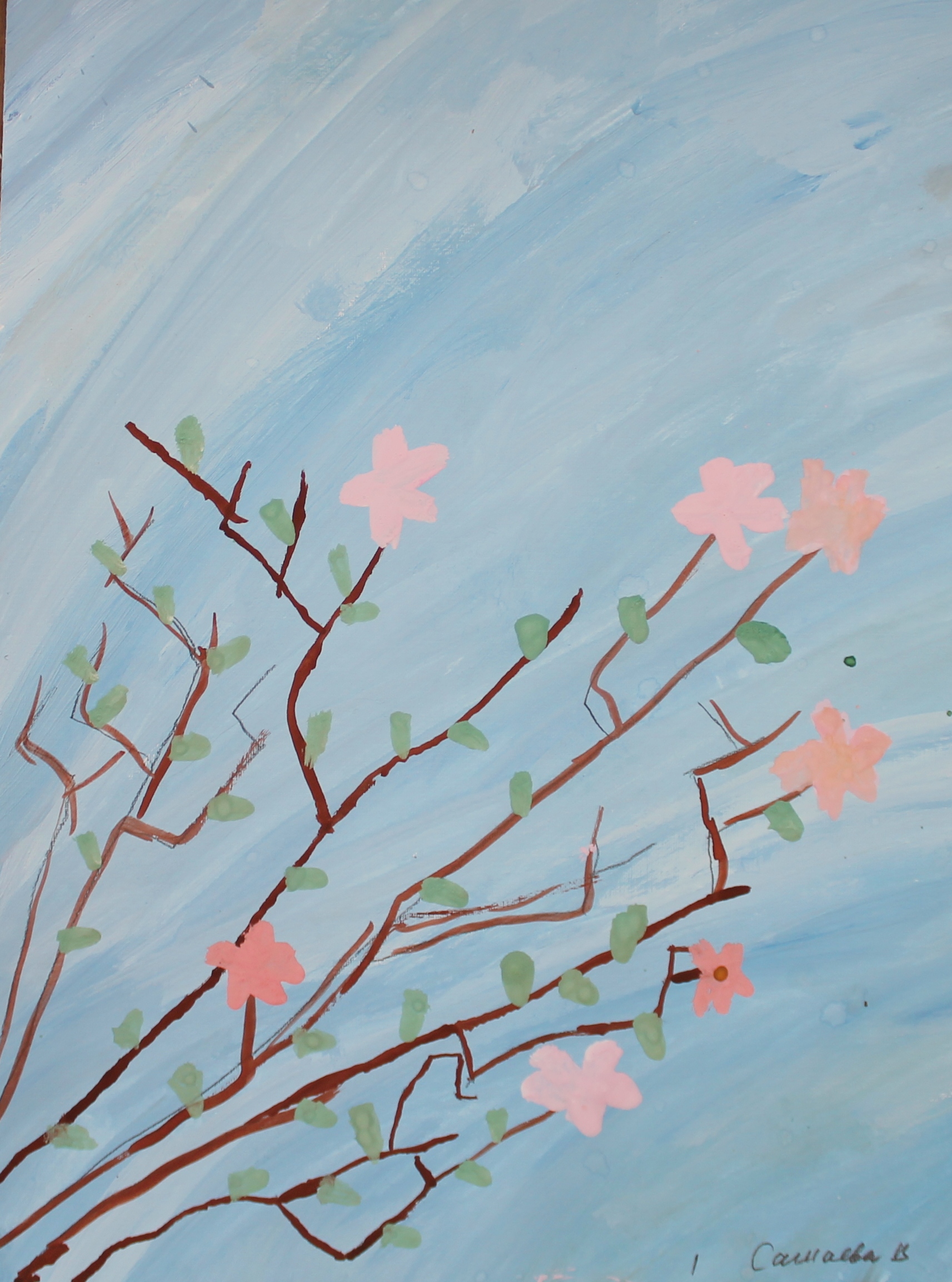 Сажаева Вера