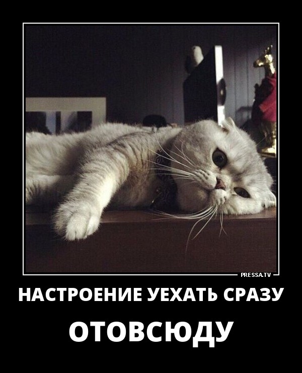 Настроение