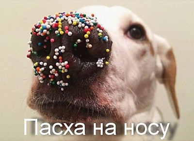 пасха на носу)))))