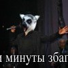 ни минуды збагоя!!!! ни минуды збагоя!!!!