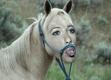 баболошадь))))))