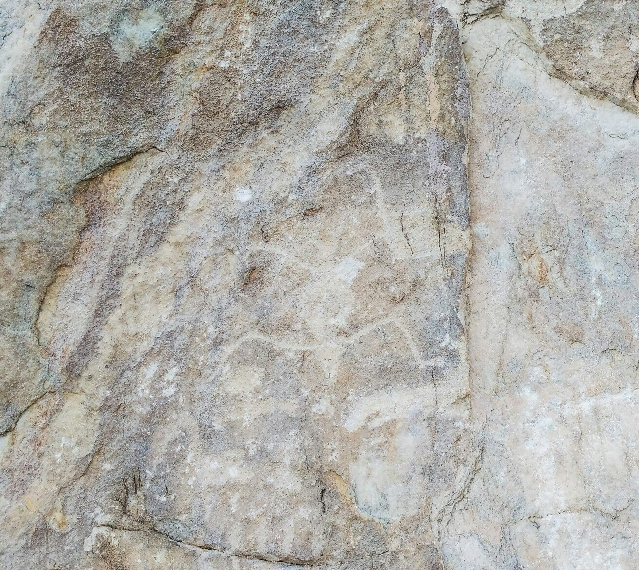 Саган-Заба, жучок-паучок