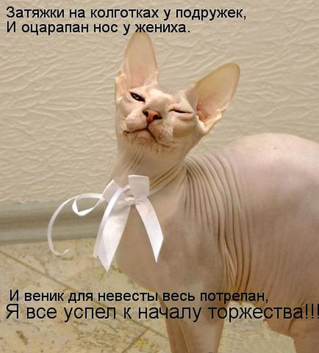 Я,все успел!