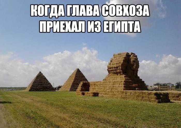 Из Египта...