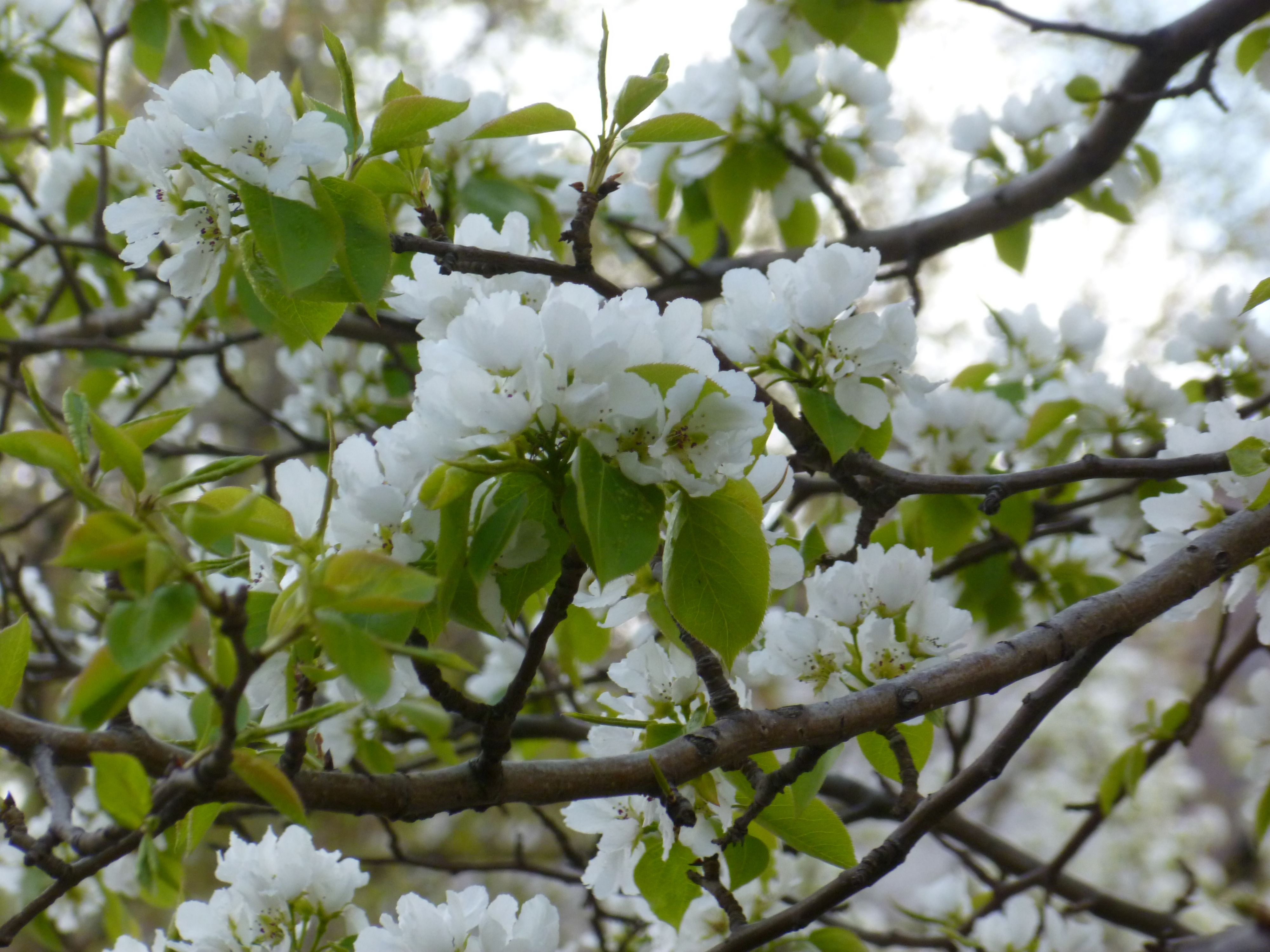 ул. Московская