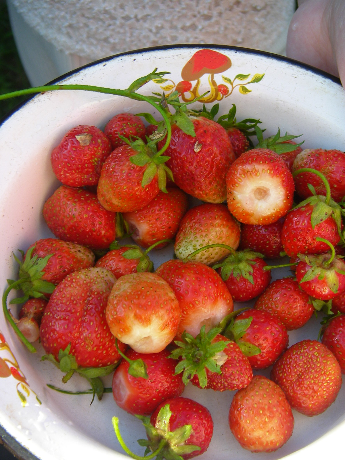 Ягодки первые...