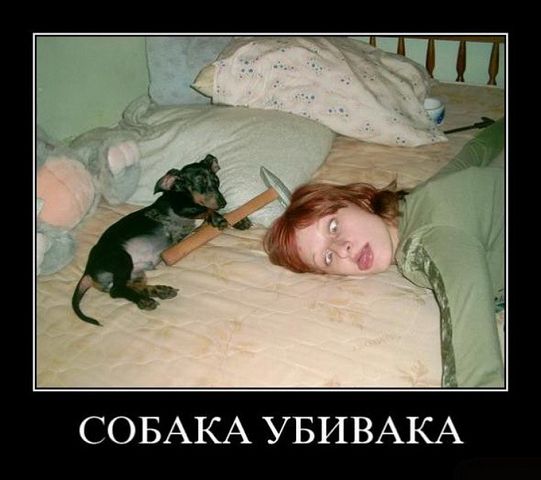 Правильно так ее)