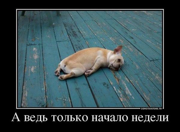 Начало недели