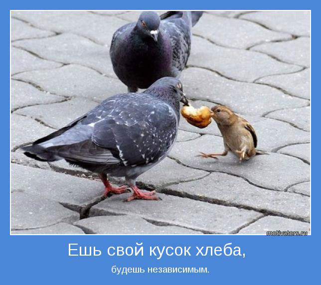 Независимость