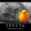 Грусть