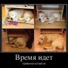 Время идет