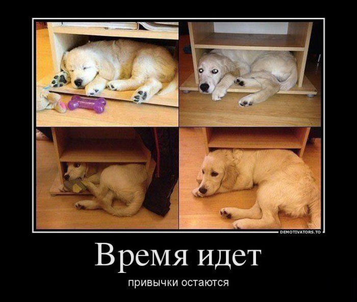 Время идет