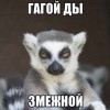 ты смежной)))) ты смежной))))