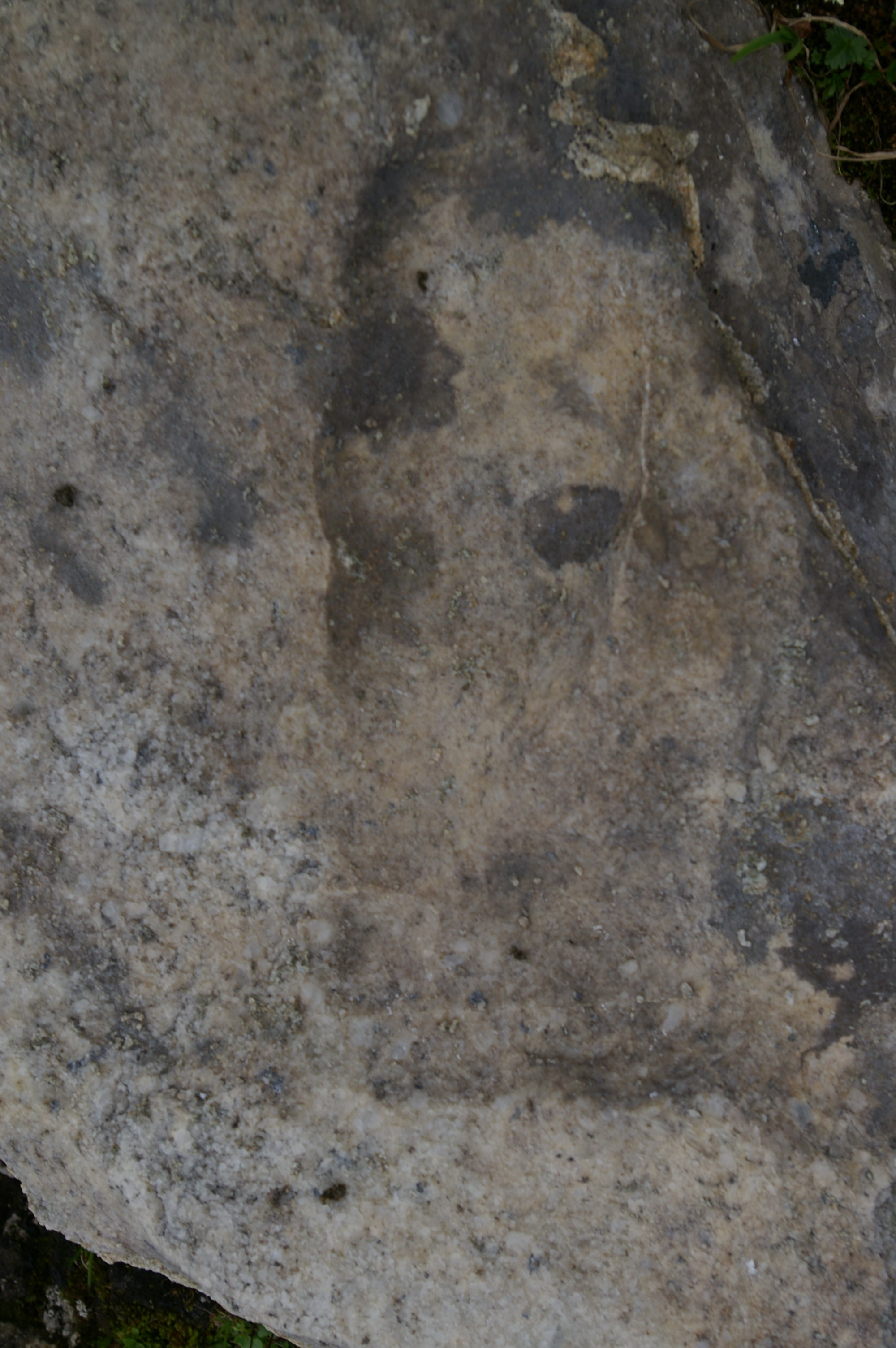 если сильно приглядеться, то можно разглядеть ступню йети